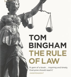 Bingham rule of law