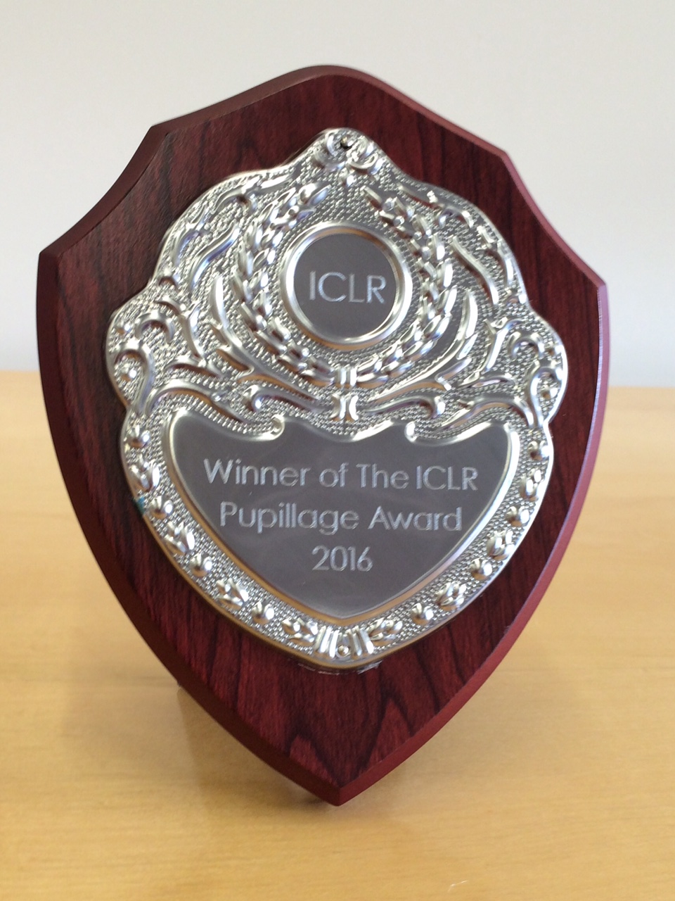 ICLR Pupillage Award