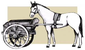cart-before-the-horse-300x178